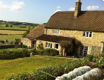 T's B&B
